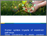 [thumbnail of global-consequences-of-climate-overshoot-pathways-annex-6.pdf]