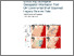[thumbnail of OR25036.pdf]