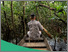 [thumbnail of © FAO, 2026. This publication is distributed under CC BY 4.0. The licence does not apply to certain content, including the FAO logo, FAO photographs, and any material identified as third-party content. See the publication for full licensing terms.]