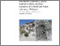 [thumbnail of OR18061.pdf]