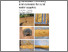 [thumbnail of OR26057.pdf]