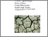 [thumbnail of IR02033.pdf]