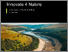 [thumbnail of Innovate 4 Nature Programme Report.pdf]