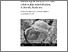 [thumbnail of IR02047.pdf]