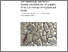 [thumbnail of IR02138.pdf]
