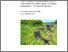 [thumbnail of IR02163.pdf]